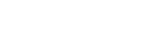 Busch Protective logo