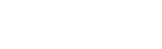 Nitecore Logo